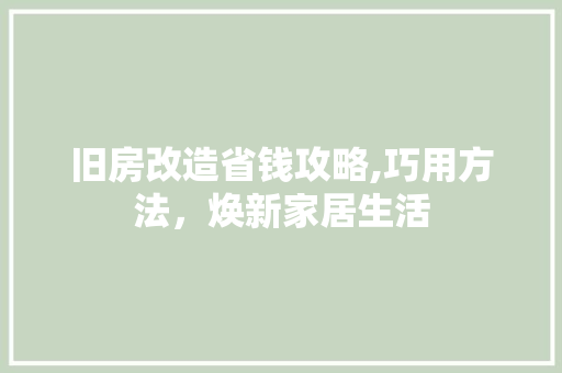 旧房改造省钱攻略,巧用方法，焕新家居生活 家电维修