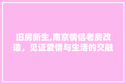 旧房新生,南京情侣老房改造，见证爱情与生活的交融 家电维修