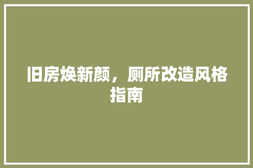 旧房焕新颜，厕所改造风格指南 家电维修