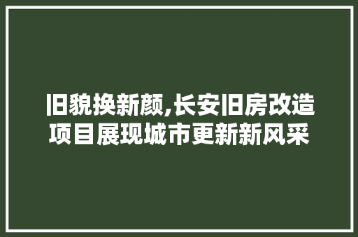 旧貌换新颜,长安旧房改造项目展现城市更新新风采