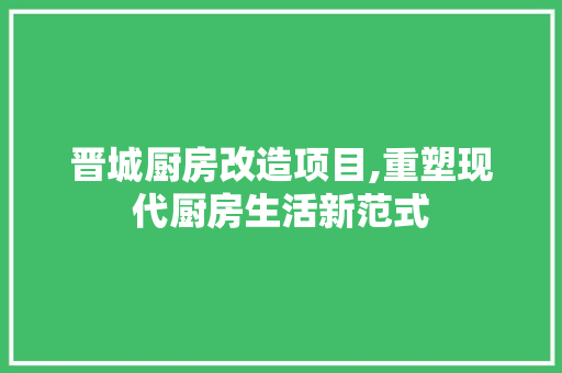 晋城厨房改造项目,重塑现代厨房生活新范式