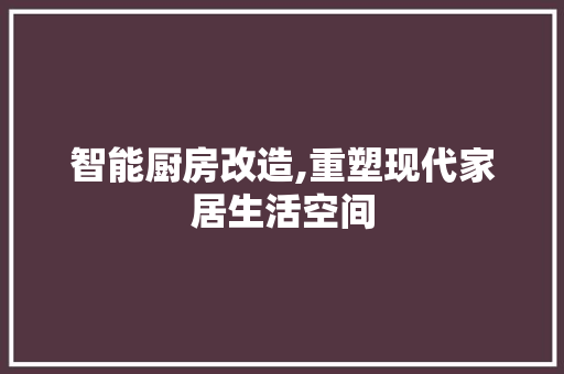 智能厨房改造,重塑现代家居生活空间