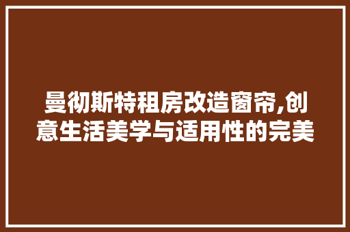 曼彻斯特租房改造窗帘,创意生活美学与适用性的完美融合