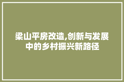 梁山平房改造,创新与发展中的乡村振兴新路径