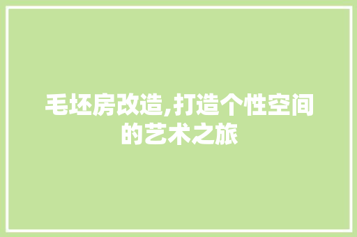 毛坯房改造,打造个性空间的艺术之旅