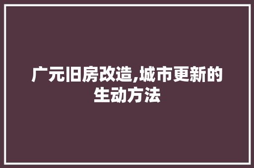 广元旧房改造,城市更新的生动方法