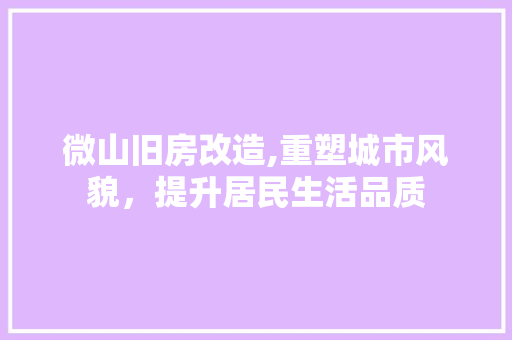 微山旧房改造,重塑城市风貌，提升居民生活品质