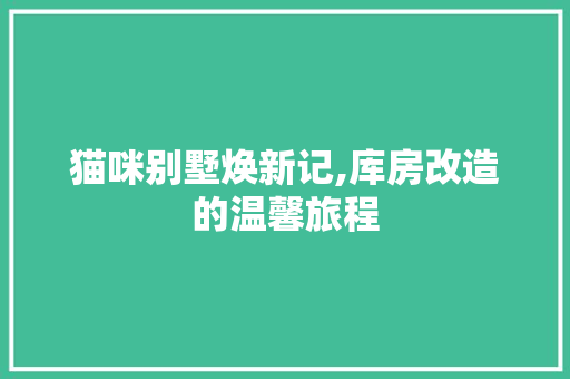 猫咪别墅焕新记,库房改造的温馨旅程