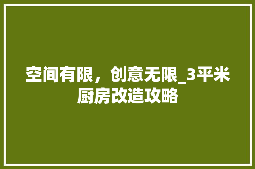 空间有限，创意无限_3平米厨房改造攻略