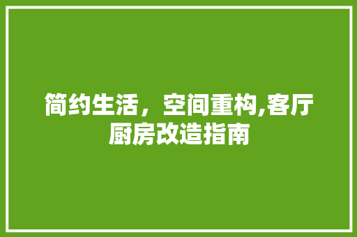 简约生活，空间重构,客厅厨房改造指南
