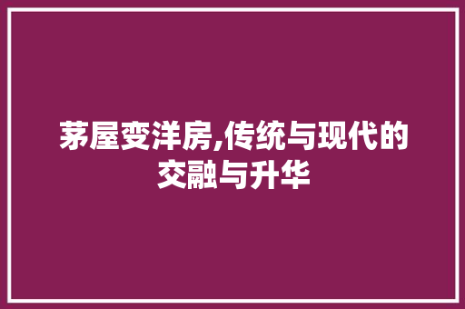 茅屋变洋房,传统与现代的交融与升华 墙体维修