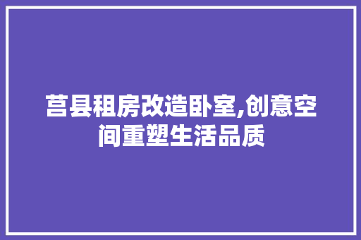 莒县租房改造卧室,创意空间重塑生活品质 墙体维修