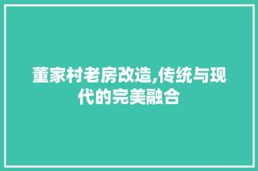 董家村老房改造,传统与现代的完美融合 汽车维修