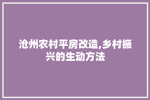 沧州农村平房改造,乡村振兴的生动方法