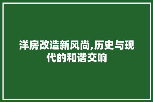 洋房改造新风尚,历史与现代的和谐交响