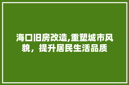 海口旧房改造,重塑城市风貌，提升居民生活品质