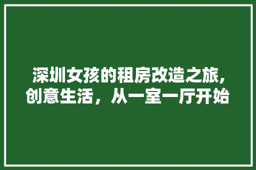 深圳女孩的租房改造之旅,创意生活，从一室一厅开始