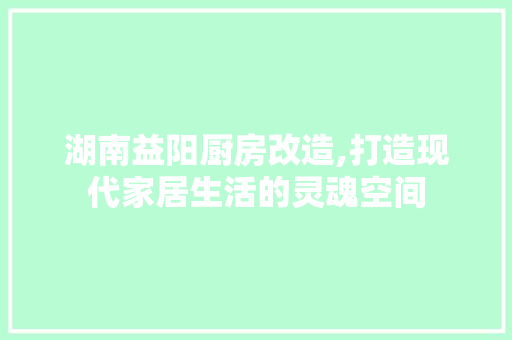 湖南益阳厨房改造,打造现代家居生活的灵魂空间 墙体维修
