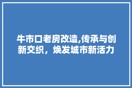 牛市口老房改造,传承与创新交织，焕发城市新活力