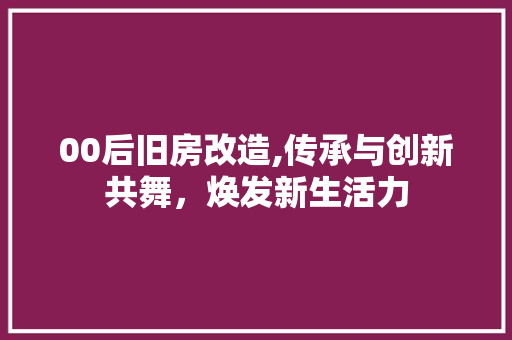 00后旧房改造,传承与创新共舞，焕发新生活力