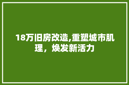 18万旧房改造,重塑城市肌理，焕发新活力