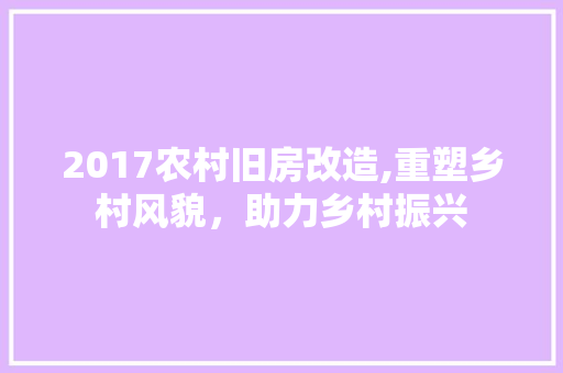 2017农村旧房改造,重塑乡村风貌，助力乡村振兴 厨房维修