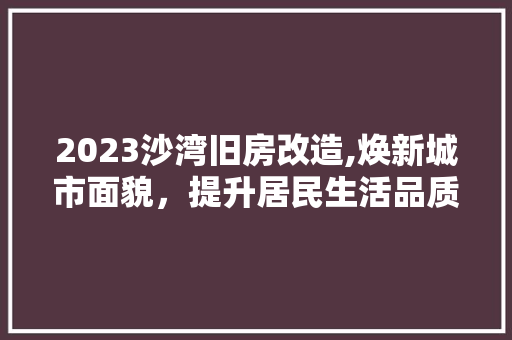 2023沙湾旧房改造,焕新城市面貌，提升居民生活品质