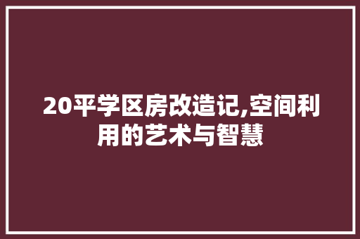 20平学区房改造记,空间利用的艺术与智慧