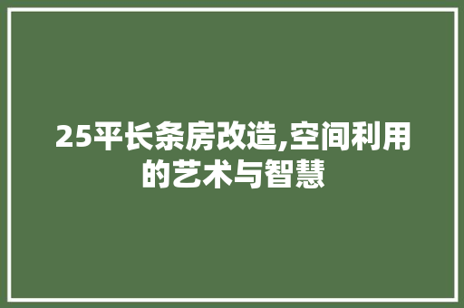 25平长条房改造,空间利用的艺术与智慧