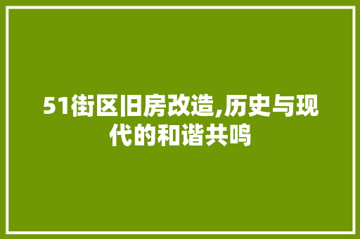 51街区旧房改造,历史与现代的和谐共鸣
