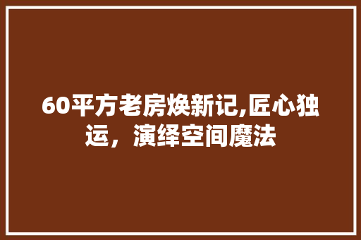 60平方老房焕新记,匠心独运，演绎空间魔法