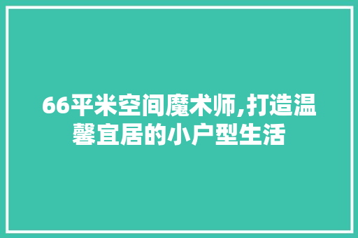66平米空间魔术师,打造温馨宜居的小户型生活