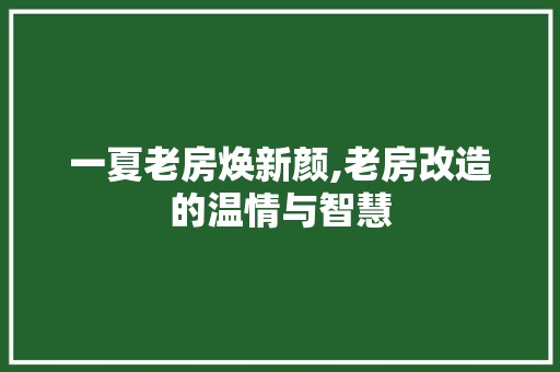 一夏老房焕新颜,老房改造的温情与智慧