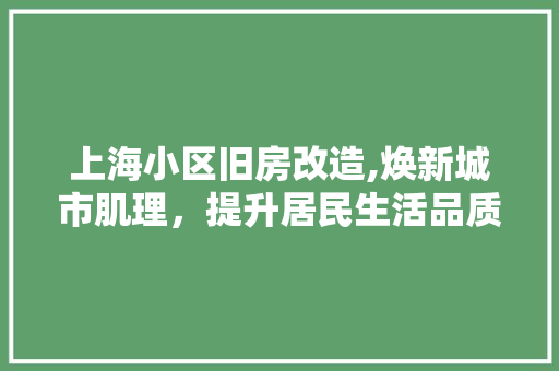 上海小区旧房改造,焕新城市肌理，提升居民生活品质