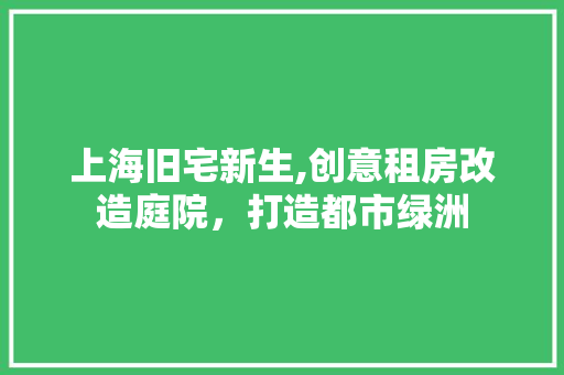 上海旧宅新生,创意租房改造庭院，打造都市绿洲