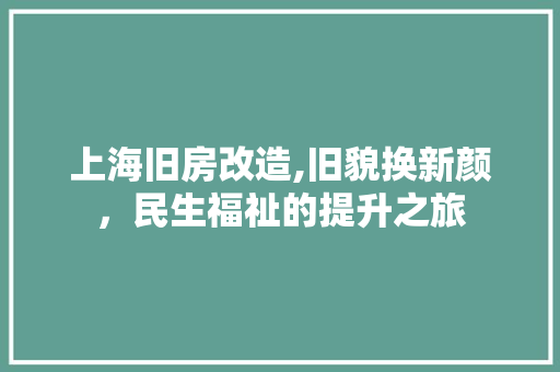 上海旧房改造,旧貌换新颜，民生福祉的提升之旅