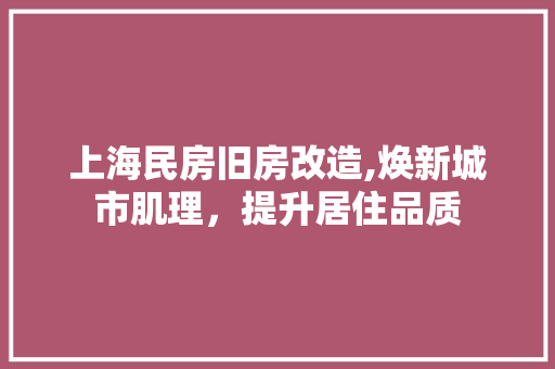 上海民房旧房改造,焕新城市肌理，提升居住品质