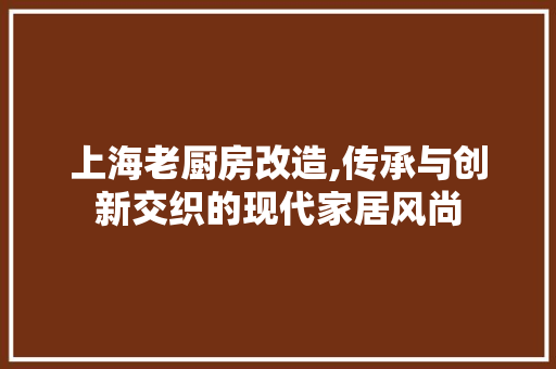 上海老厨房改造,传承与创新交织的现代家居风尚