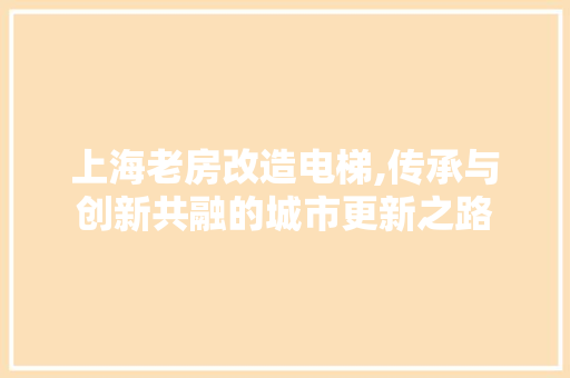 上海老房改造电梯,传承与创新共融的城市更新之路