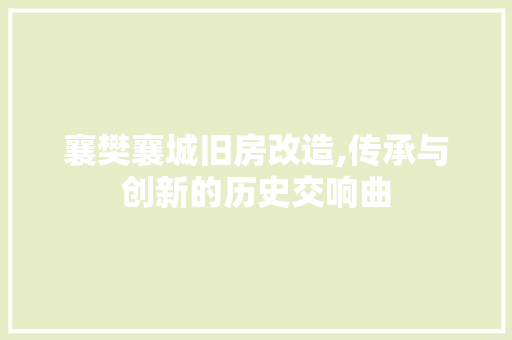襄樊襄城旧房改造,传承与创新的历史交响曲