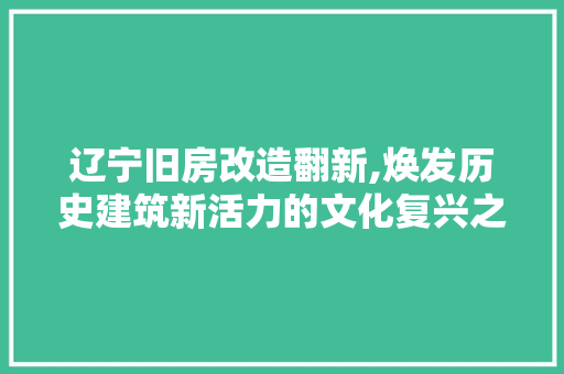 辽宁旧房改造翻新,焕发历史建筑新活力的文化复兴之路