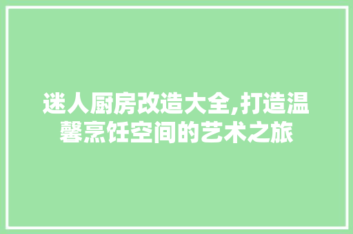 迷人厨房改造大全,打造温馨烹饪空间的艺术之旅