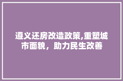 遵义还房改造政策,重塑城市面貌，助力民生改善