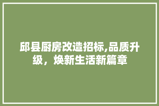 邱县厨房改造招标,品质升级，焕新生活新篇章