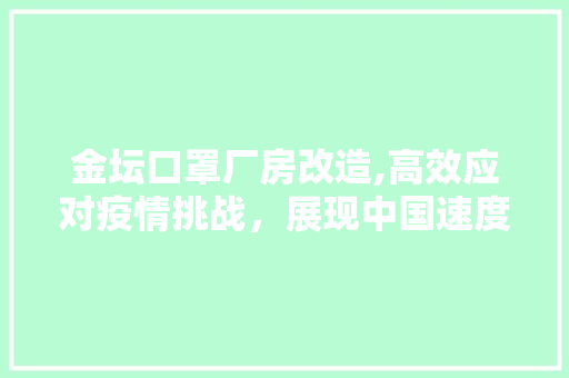 金坛口罩厂房改造,高效应对疫情挑战，展现中国速度