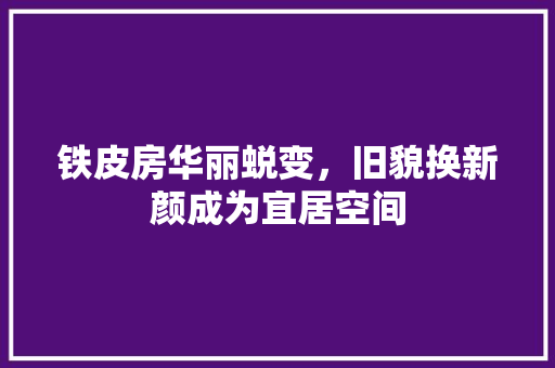 铁皮房华丽蜕变，旧貌换新颜成为宜居空间