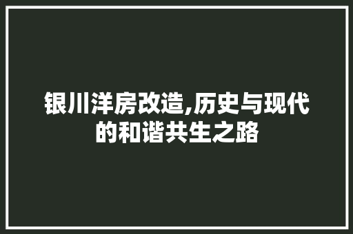 银川洋房改造,历史与现代的和谐共生之路 厨房维修