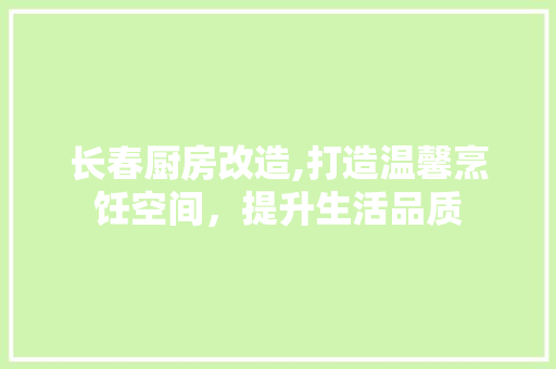 长春厨房改造,打造温馨烹饪空间，提升生活品质