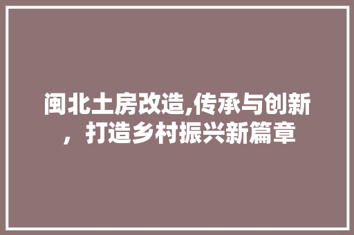 闽北土房改造,传承与创新，打造乡村振兴新篇章