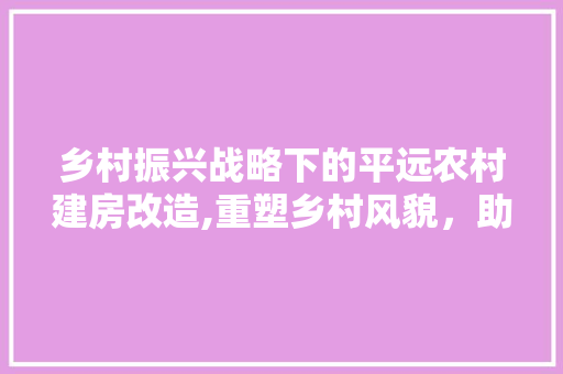 乡村振兴战略下的平远农村建房改造,重塑乡村风貌，助力美好生活